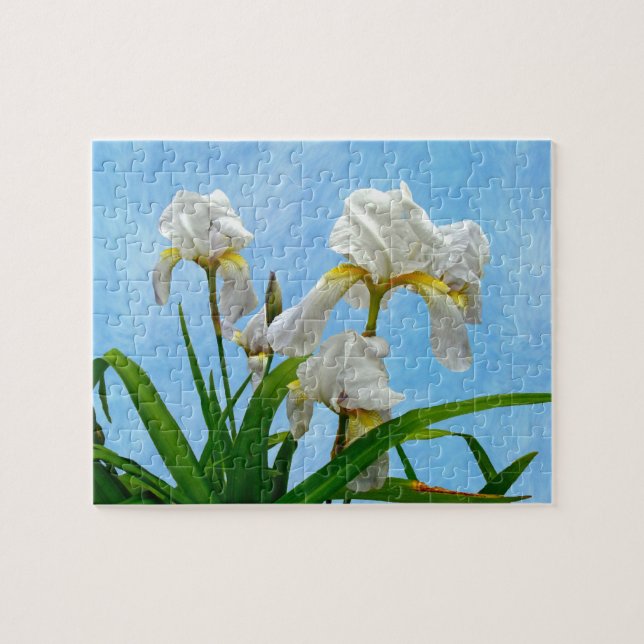Blütenblüten aus weißer Bartblüte Puzzle (Horizontal)