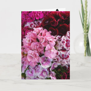 Blütenblüten Karte