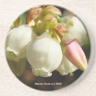 Blütenblüten - Untersetzer