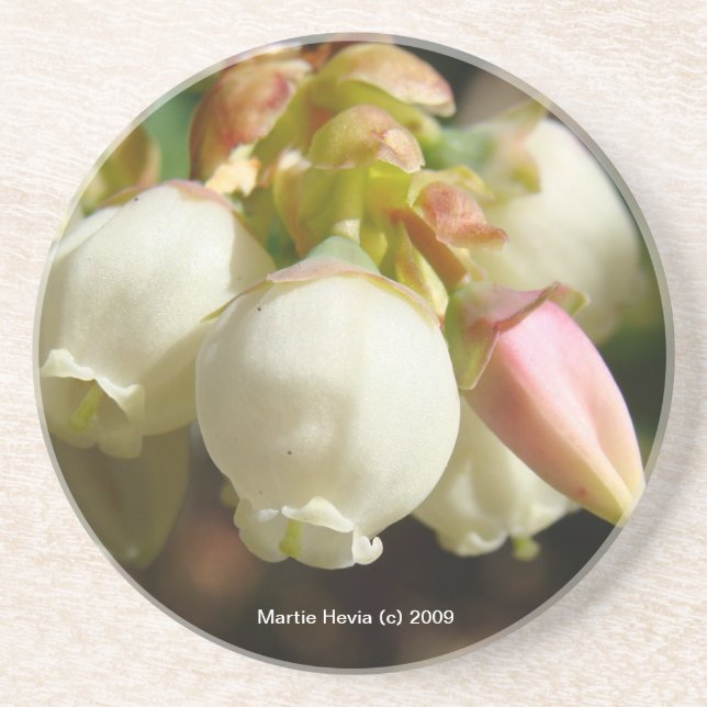 Blütenblüten - Untersetzer (Vorne)