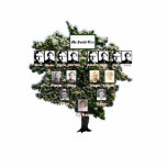 Blütendes grünes Leaf Familie Tree Vier Generation Freistehende Fotoskulptur<br><div class="desc">Diese Vier-Generationen-Stammbaumkarte wird auf einer ausgeschnittenen Statuette eines blühenden Grünblattbaumes angezeigt. Personalisieren Sie mit Ihren eigenen Fotos und Namen. Wenn Sie Probleme mit der Personalisierung haben,  kontaktieren Sie mich bitte unter jen@jenaleefamilystorykeeper.com</div>
