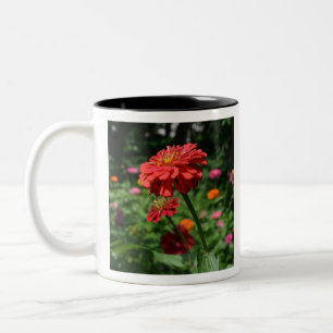 Blütengarten mit rotem Orangenblumen Zweifarbige Tasse