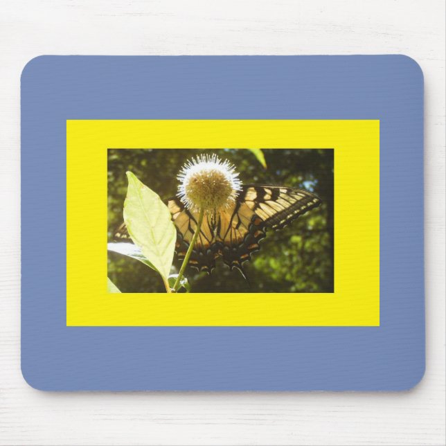 Blütengelbe Monarchie Mousepad (Vorne)