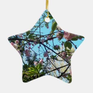 Blütenkirsche, Blütenpracht, Natur, rosa Blume Keramik Ornament