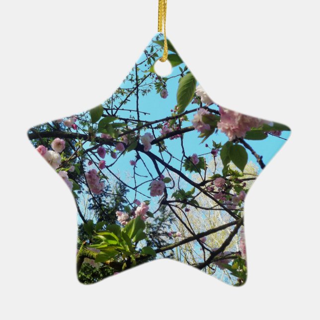 Blütenkirsche, Blütenpracht, Natur, rosa Blume Keramik Ornament (Hinten)