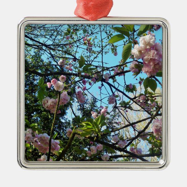 Blütenkirsche, Blütenpracht, Natur, rosa Blume Ornament Aus Metall (Vorne)
