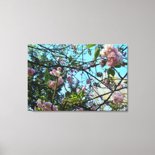 Blütenkirsche, Natur, Baum, Blütenmus, Leinwand