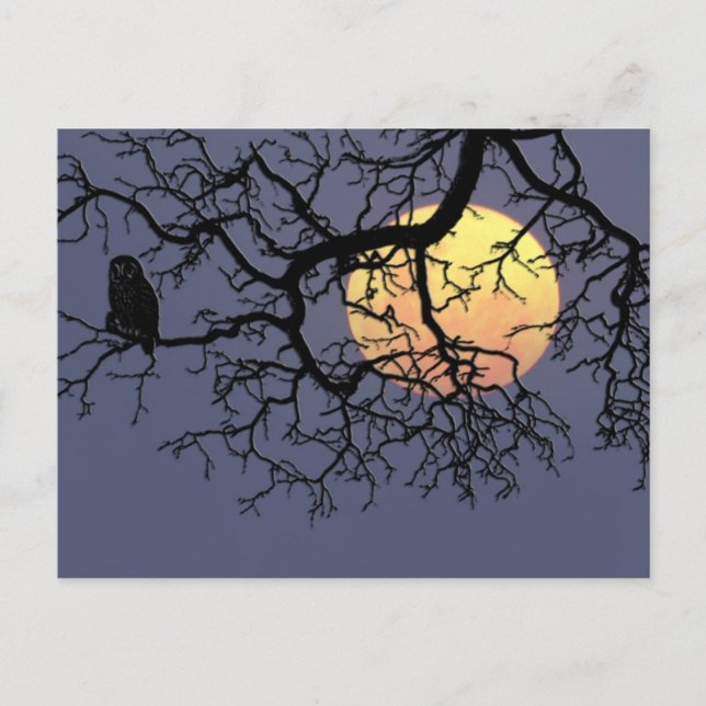 Blütenmond und Nachtschwärmer in der Silhouette Ba Postkarte (Vorderseite)