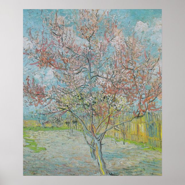 Blütenpfirsichbaum Poster (Vorne)