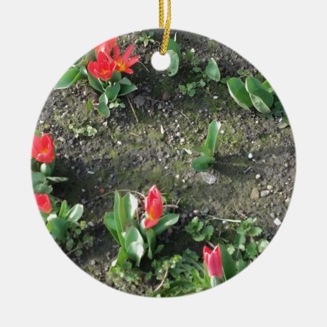 Blütenpracht im Park Keramikornament (Vorne)