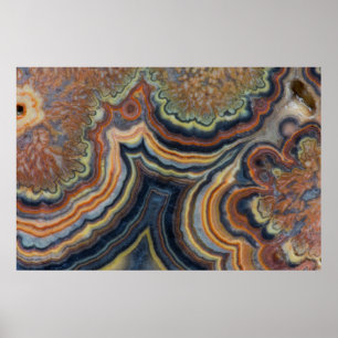 Blütenrohronym Poster