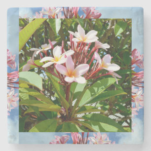 Blütenrosa Frangipani Tree Steinuntersetzer