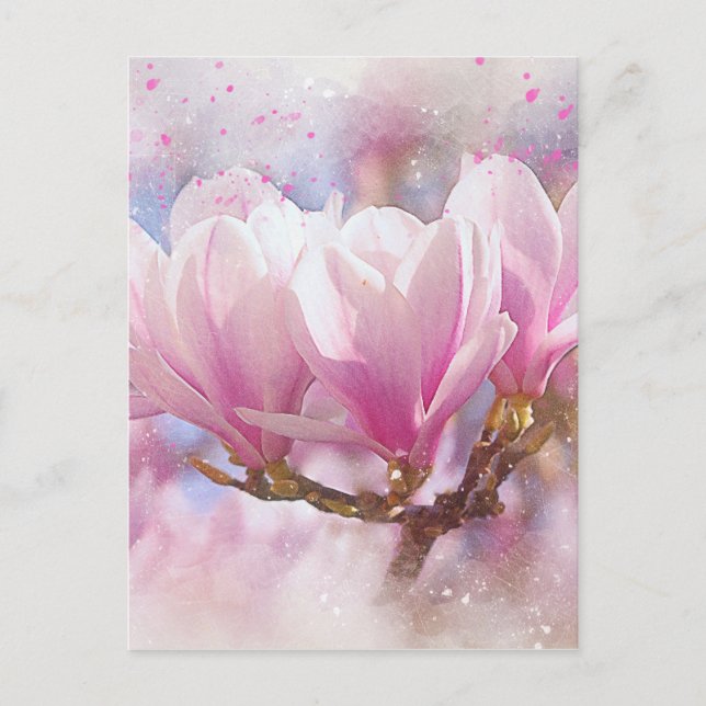 Blütenrosa Lila Magnolien - Frühjahrswoche Blume Postkarte (Vorderseite)