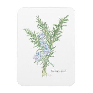 Blütenrosemary Magnet