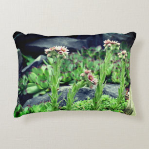 Blütensukkuline Dekokissen