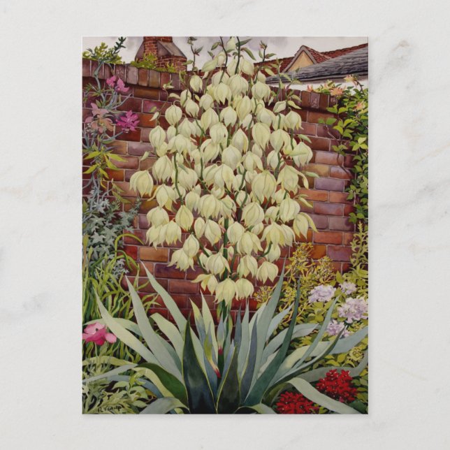 BlütenYucca Postkarte (Vorderseite)