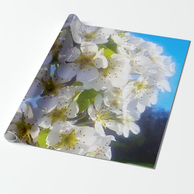 Blütenzweig einer Birne Geschenkpapier (Ungerollt)