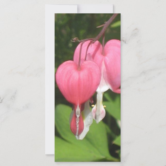 Blutergüsse Herz - Custom Promo Rack Card (Vorderseite)