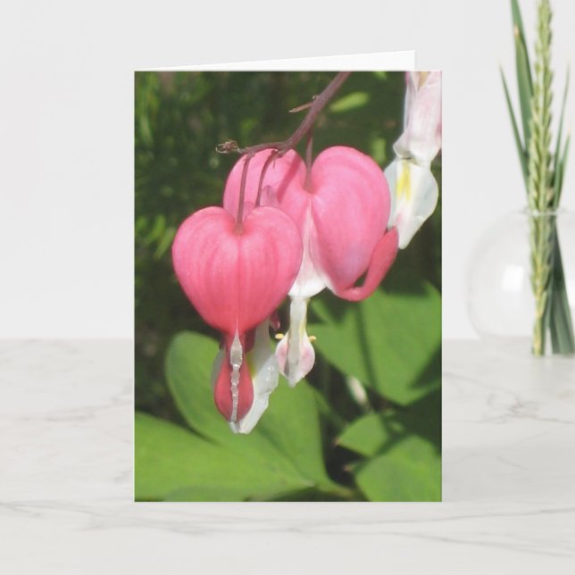 Blutergüsse Herz - Portrait Grußkarte Karte (Vorderseite)