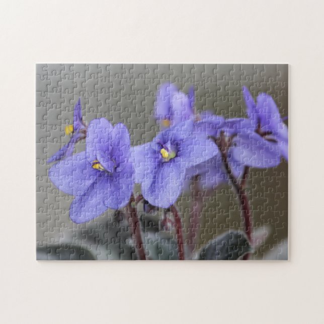 Blutgewebes Puzzle (Horizontal)