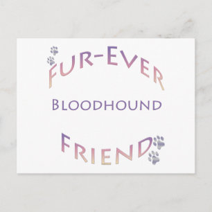 Bluthund Furever Postkarte