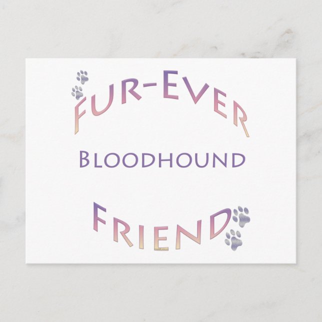 Bluthund Furever Postkarte (Vorderseite)