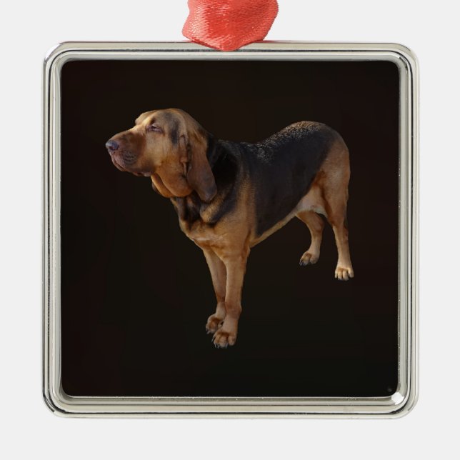 Bluthund Ornament Aus Metall (Vorne)