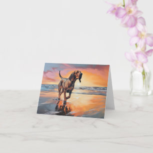 Bluthund Sandy Paws am Strand bei Sonnenuntergang  Karte