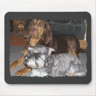 Bluthund und Zwergschnauzer Mousepad