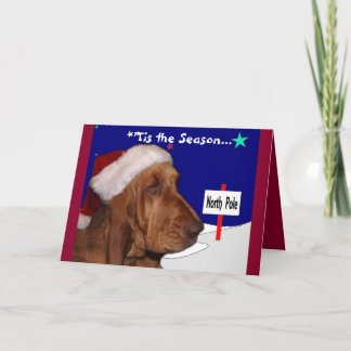 Bluthund-Weihnachtskarte Feiertagskarte