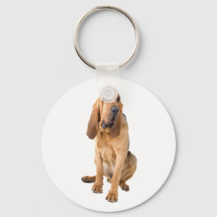 Bluthund-Welpen-Hund-Schlüsselanhänger Schlüsselanhänger