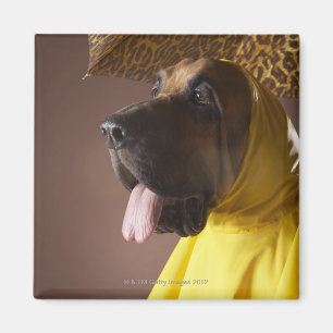 Bluthundhund Magnet