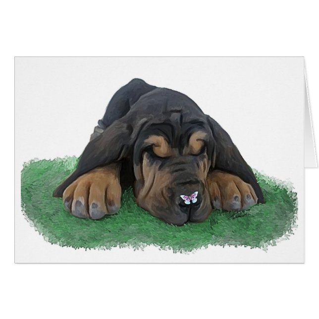 Bluthundwelpe (Vorderseite (Horizontal))