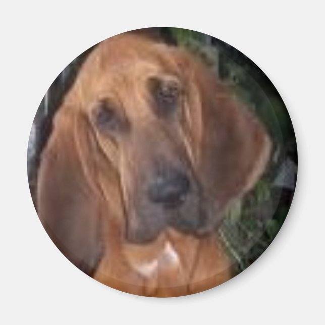 blutig magnet (Vorne)