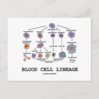 Blutkörperchen-Linie (Biologische Gesundheitsmediz