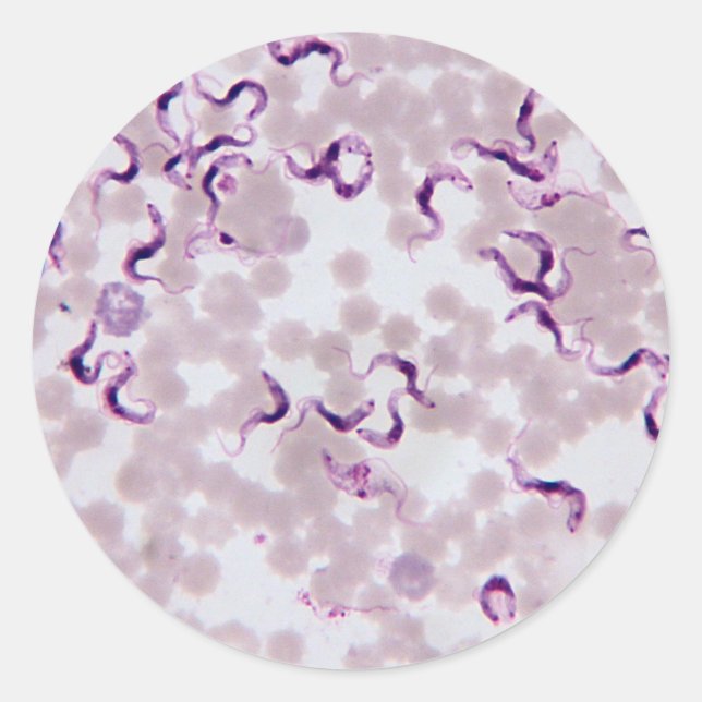 Blutparasit Trypanosoma Runder Aufkleber (Vorderseite)