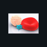 Blutplättchen, rote und weiße Blutkörperchen Leinwanddruck<br><div class="desc">Konzeptuelles Bild von Thrombozyten,  roten Blutkörperchen und weißen Blutkörperchen.</div>