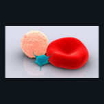 Blutplättchen, rote und weiße Blutkörperchen Poster<br><div class="desc">Konzeptuelles Bild von Thrombozyten, roten Blutkörperchen und weißen Blutkörperchen.</div>