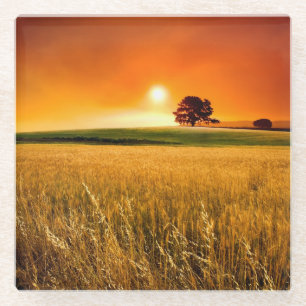 Blutroter Sonnenuntergang Glasuntersetzer