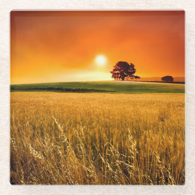 Blutroter Sonnenuntergang Glasuntersetzer (Vorderseite)