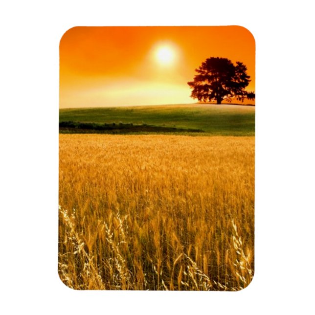 Blutroter Sonnenuntergang Magnet (Vertikal)