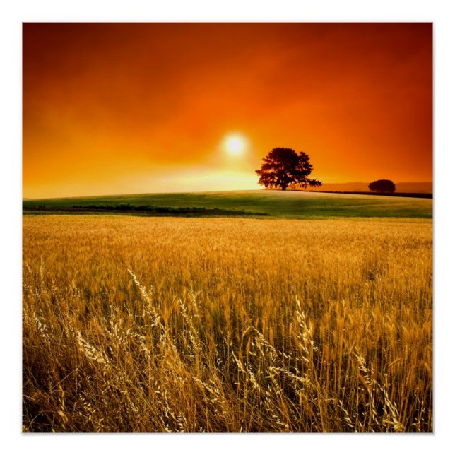 Blutroter Sonnenuntergang Poster (Vorderseite)