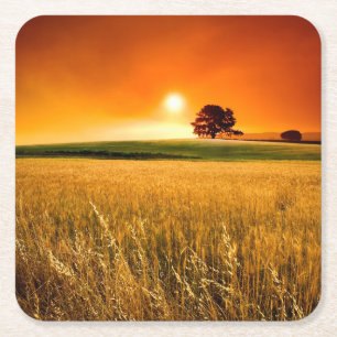 Blutroter Sonnenuntergang Rechteckiger Pappuntersetzer