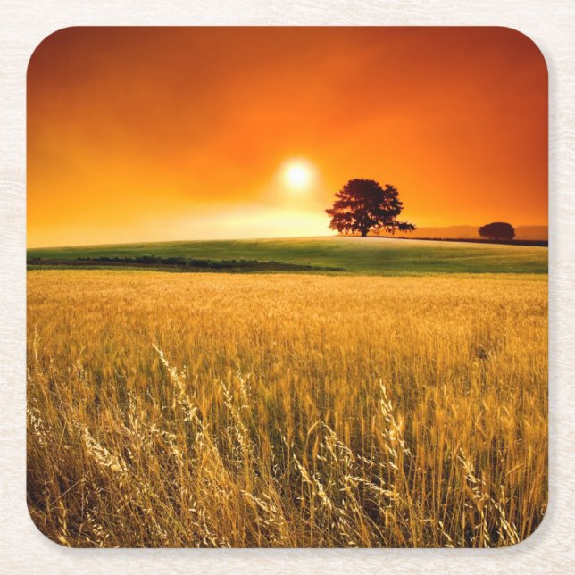 Blutroter Sonnenuntergang Rechteckiger Pappuntersetzer (Vorderseite)