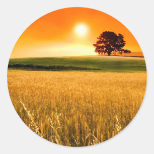 Blutroter Sonnenuntergang Runder Aufkleber