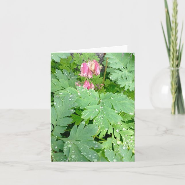 Blutung Heart Bush Feiertagskarte (Vorderseite)