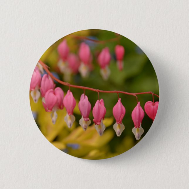 Blutung Herz-Makro Button (Vorderseite)