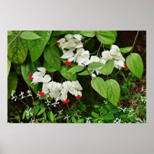 Blutung Herzklopfen Poster