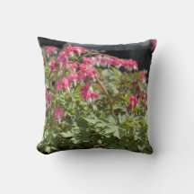 Blutung Herzknochen Pilz