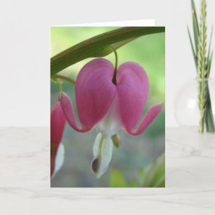 Blutungen Herz Karte